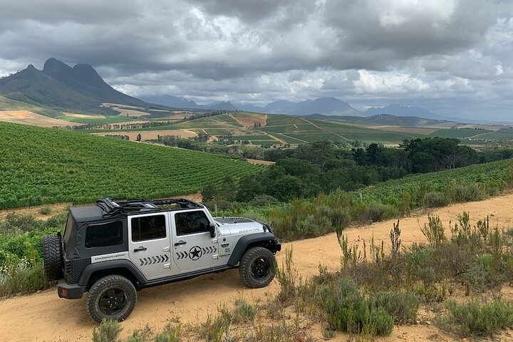 Full Day Stellenbosch Wine Tour - Photo 1 of 11